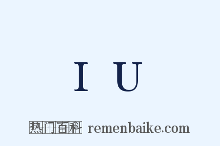 IU是什么意思的图片